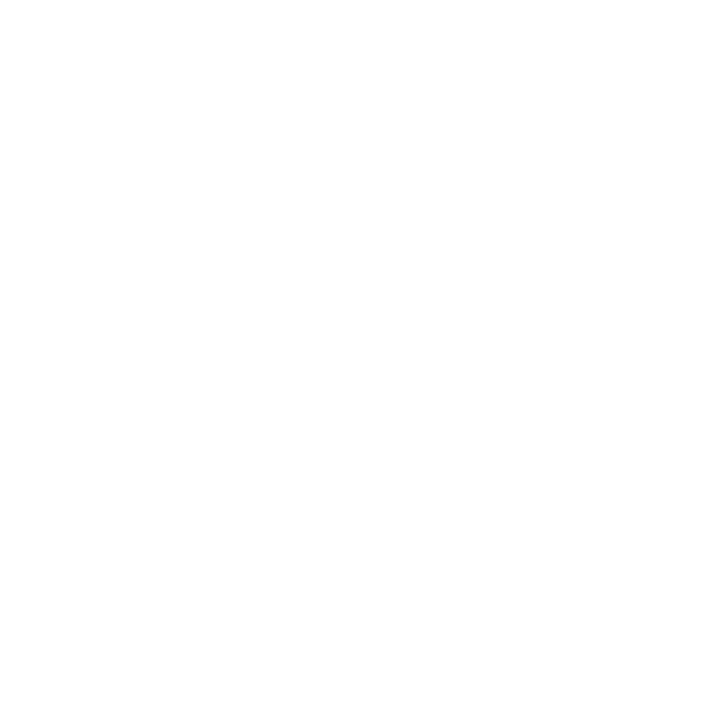 onX Logo