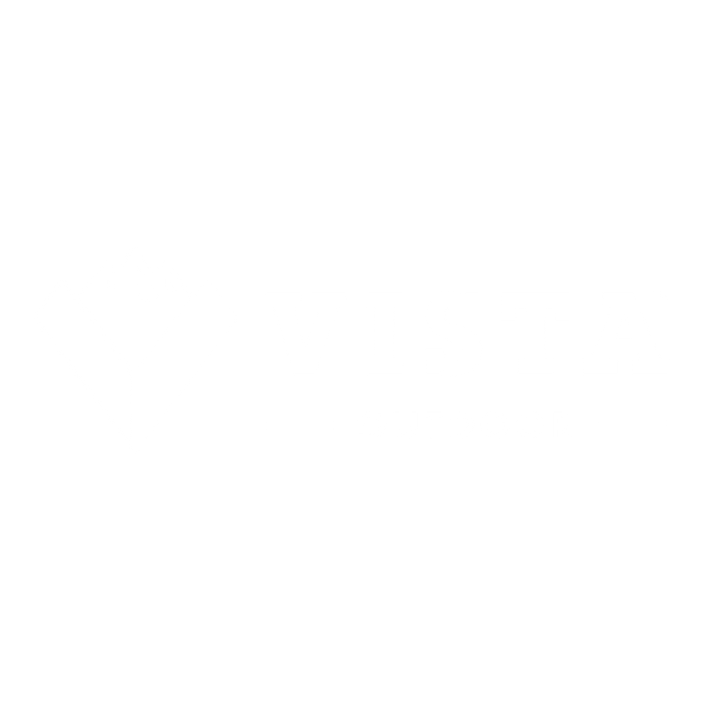 Vista Outdoor - logo